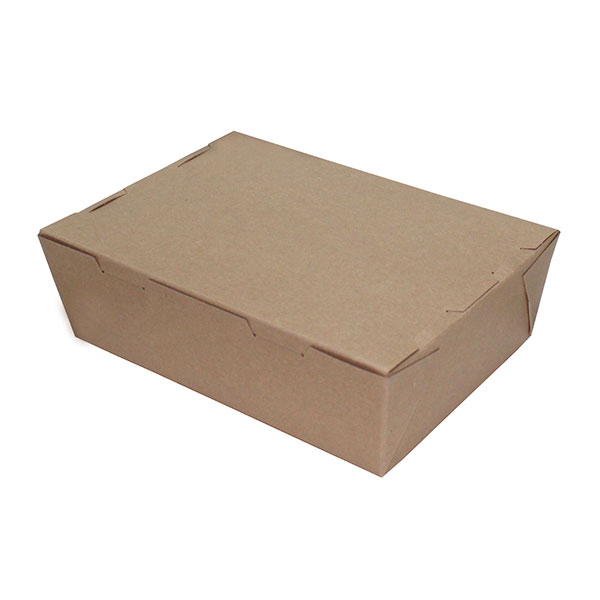Rectangular Kraft Box Large