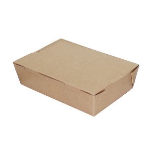 Rectangular Kraft Box Medium